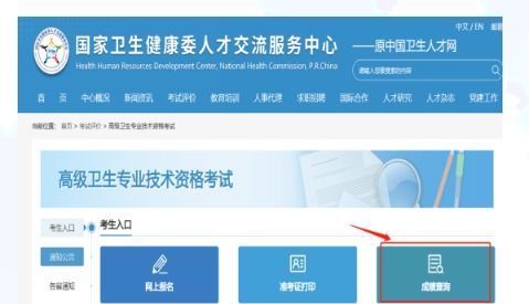 2023年河北衛(wèi)生系列高級(jí)專業(yè)技術(shù)資格實(shí)踐技能考試成績查詢通知——兼論信息技術(shù)咨詢服務(wù)與衛(wèi)生人才發(fā)展的協(xié)同效應(yīng)